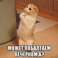  может побалтаем вечерком,а?