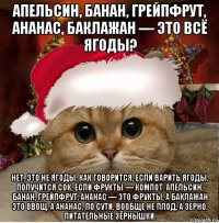 апельсин, банан, грейпфрут, ананас, баклажан — это всё ягоды? нет, это не ягоды. как говорится, если варить ягоды, получится сок, если фрукты — компот. апельсин, банан, грейпфрут, ананас — это фрукты, а баклажан это овощ. а ананас, по сути, вообще не плод, а зерно. питательные зёрнышки.