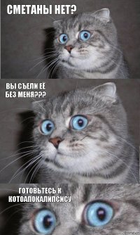 Сметаны нет? ВЫ СЪЕЛИ ЕЁ БЕЗ МЕНЯ??? Готовьтесь к
Котоапокалипсису