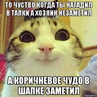 то чуство когда ты нагадил в тапки а хозяин незаметил а коричневое чудо в шапке заметил