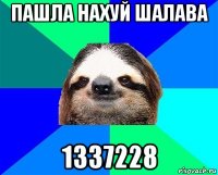 пашла нахуй шалава 1337228