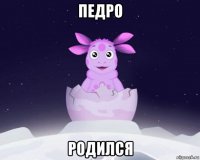 педро родился