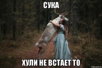 сука хули не встает то