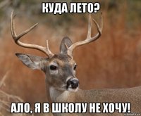 куда лето? ало, я в школу не хочу!