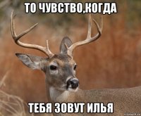 то чувство,когда тебя зовут илья