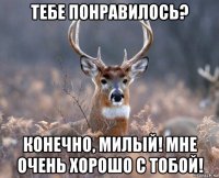 тебе понравилось? конечно, милый! мне очень хорошо с тобой!