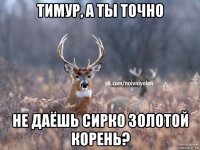 тимур, а ты точно не даёшь сирко золотой корень?