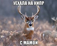 уехала на кипр с мамой