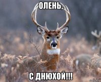 олень, с днюхой!!!