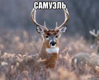 самуэль 