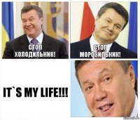 Стоп холодильник! Стоп морозильник! IT`S MY LIFE!!!