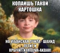 копаишь такой картошка но уебанская пчила - шахид летит и крычит:koroliva-akbar!