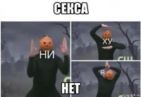 секса нет