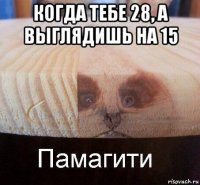 когда тебе 28, а выглядишь на 15 