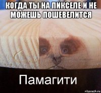 когда ты на пикселе и не можешь пошевелится 