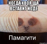 когда хвоя ща вставит йоде 