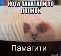 кота закатали по полной 