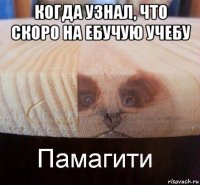 когда узнал, что скоро на ебучую учебу 