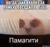 когда lana brooks за помеху посадила в /jail 