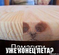  уже конец лета?