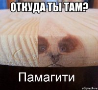 откуда ты там? 