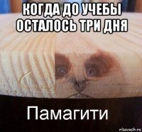 когда до учебы осталось три дня 