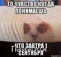 то чувство когда понимаешь что завтра 1 сентября