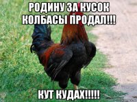 родину за кусок колбасы продал!!! кут кудах!!!!!