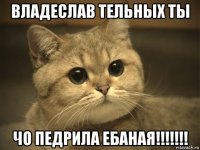 владеслав тельных ты чо педрила ебаная!!!!!!!