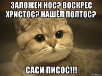 заложен нос? воскрес христос? нашёл полтос? саси писос!!!