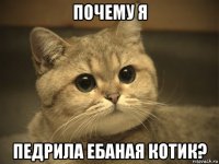 почему я педрила ебаная котик?