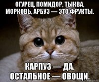 огурец, помидор, тыква, морковь, арбуз — это фрукты. карпуз — да. остальное — овощи.