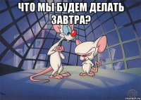 что мы будем делать завтра? 