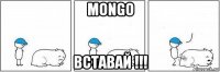 mongo вставай !!!