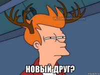  новый друг?