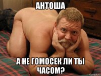 антоша а не гомосек ли ты часом?