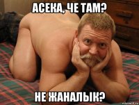 асека, че там? не жаналык?