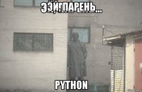 эй, парень python