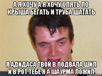 а я хочу а я хочу опять по крыша бегать и труба шатать я адидаса твой в подвала шил и в рот тебе я а шаурма ложил