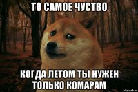 то самое чуство когда летом ты нужен только комарам