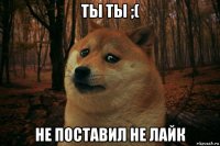 ты ты ;( не поставил не лайк