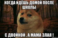 когда идёшь домой после школы с двойкой , а мама злая !