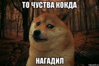 то чуства кокда нагадил