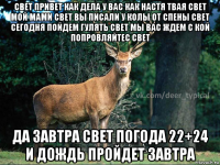 свет привет как дела у вас как настя твая свет мой мами свет вы писали у колы от спены свет сегодня пойдем гулять свет мы вас ждем с кой попровляйтес свет да завтра свет погода 22+24 и дождь пройдет завтра