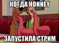 когда honney запустила стрим