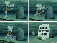 acura zdx 2008 - 2013