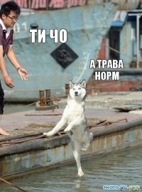 Ти чо А трава норм