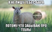 я не пишу тебе с бара потому что забываю про тебяы