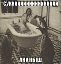 сукииииииииииииииии ану кыш