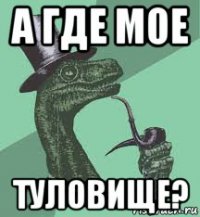 а где мое туловище?